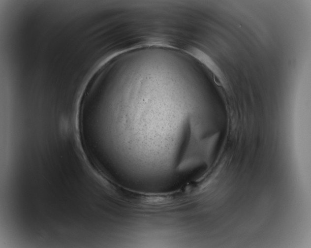 X0000089711339200707121406