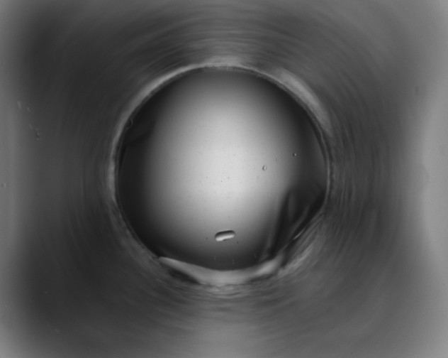 X0000089711340200707121406