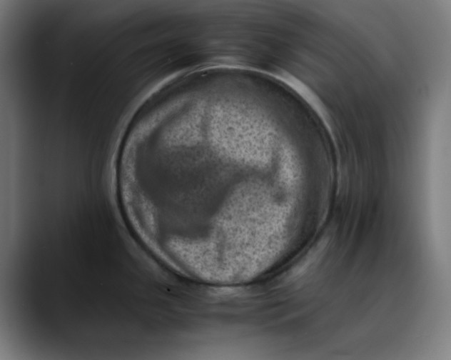 X0000089711341200707121406