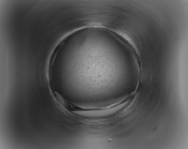 X0000089711342200707121406