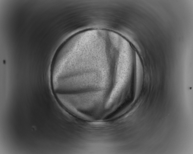 X0000089711343200707121406