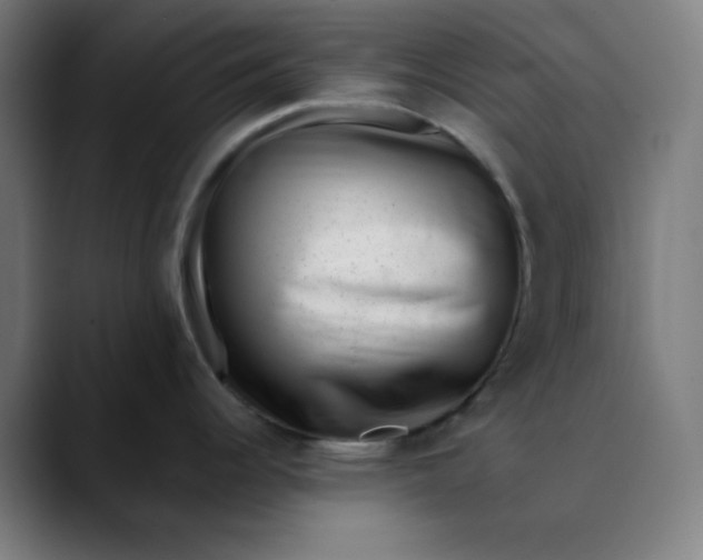 X0000089711344200707121406