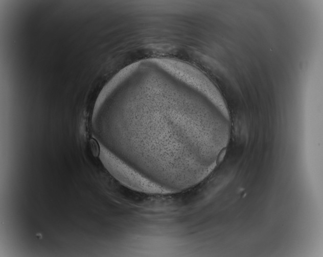 X0000089711346200707121405