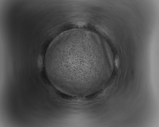 X0000089711347200707121405