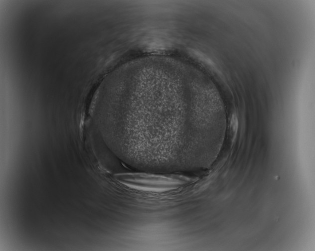 X0000089711348200707121405