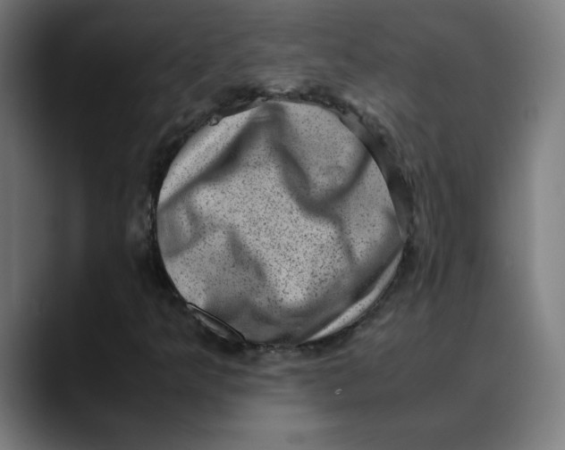 X0000089711349200707121405