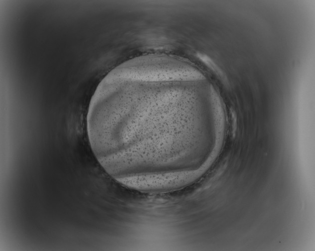 X0000089711350200707121405