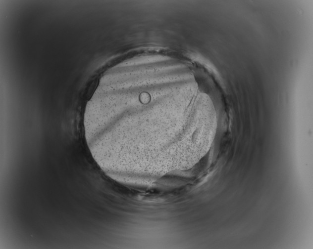 X0000089711352200707121405