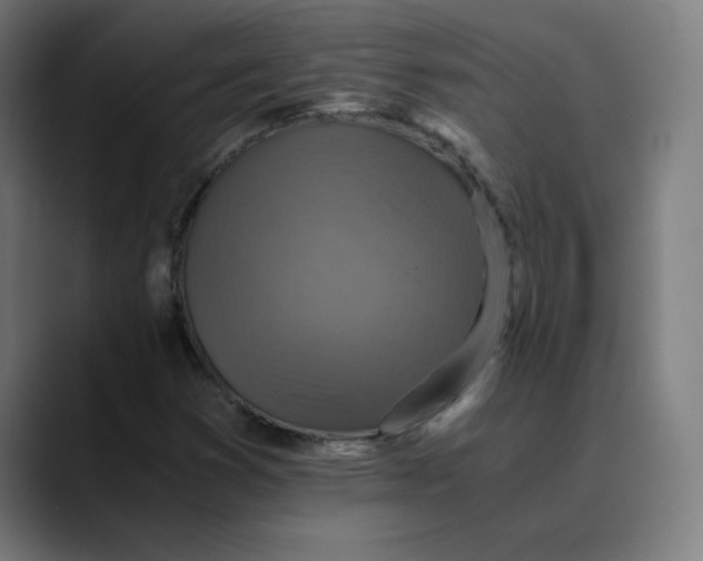 X0000089711353200707121405