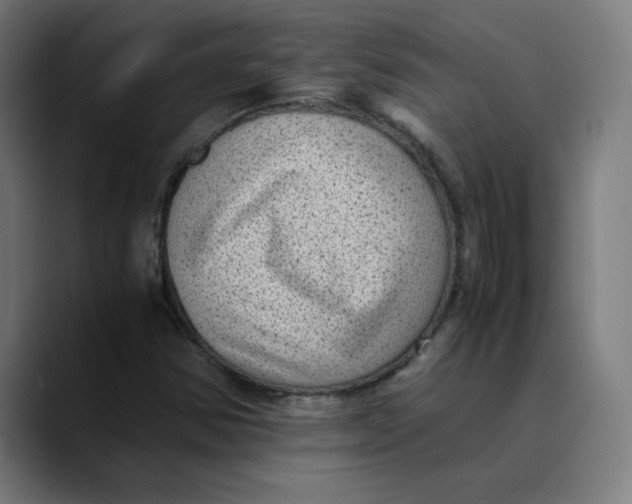 X0000089711354200707121405