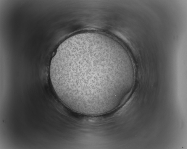 X0000089711355200707121405