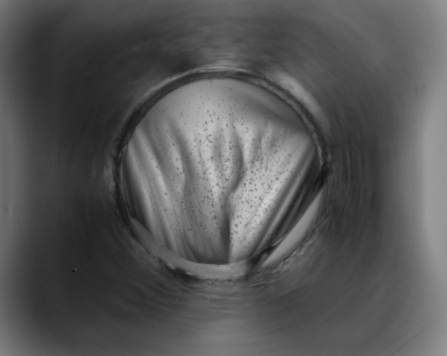 X0000089711356200707121405