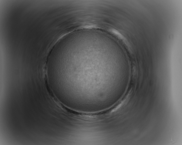 X0000089711361200707121405