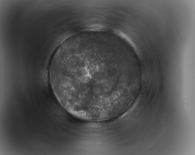 X0000089711362200707121405