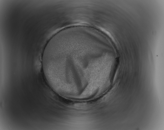 X0000089711363200707121405