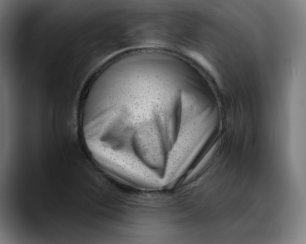 X0000089711364200707121405