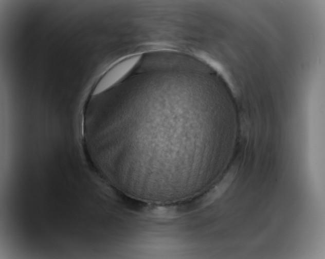 X0000089711365200707121405