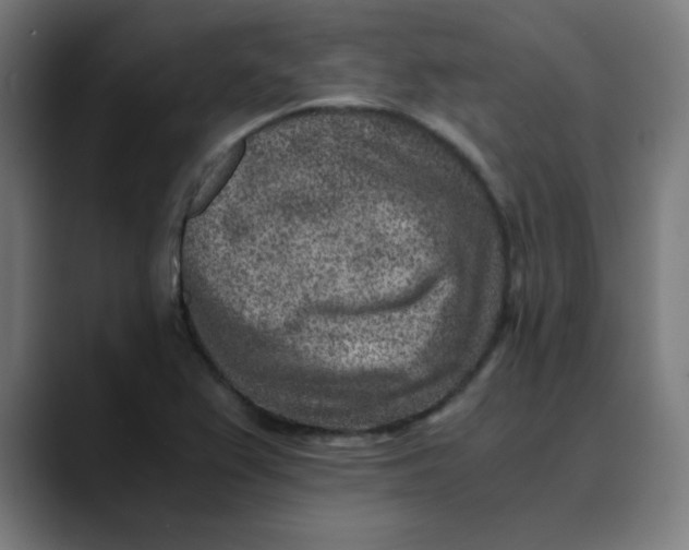 X0000089711367200707121405