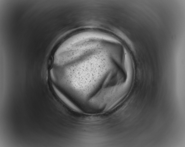 X0000089711368200707121405