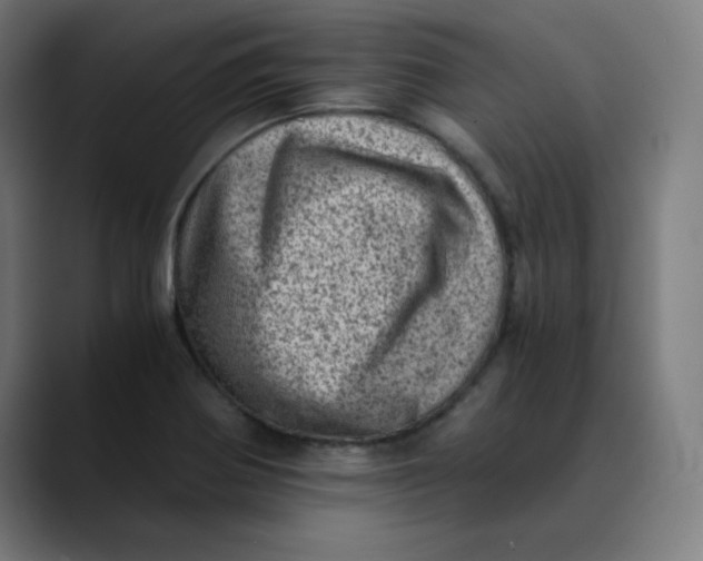 X0000089711370200707121405