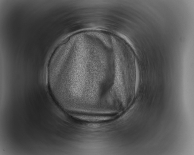 X0000089711371200707121405