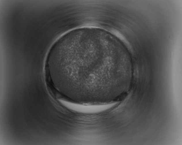 X0000089711372200707121405