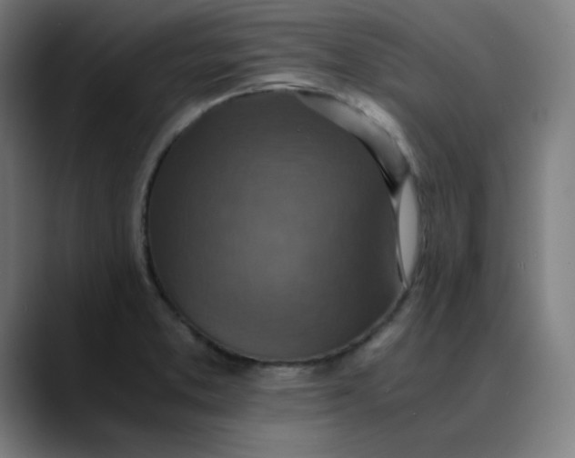 X0000089711373200707121405