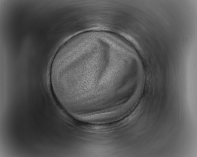 X0000089711375200707121405