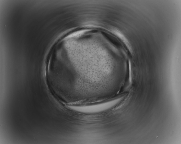 X0000089711376200707121405