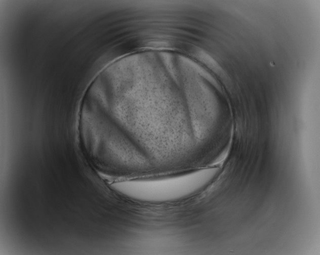 X0000089711378200707121405