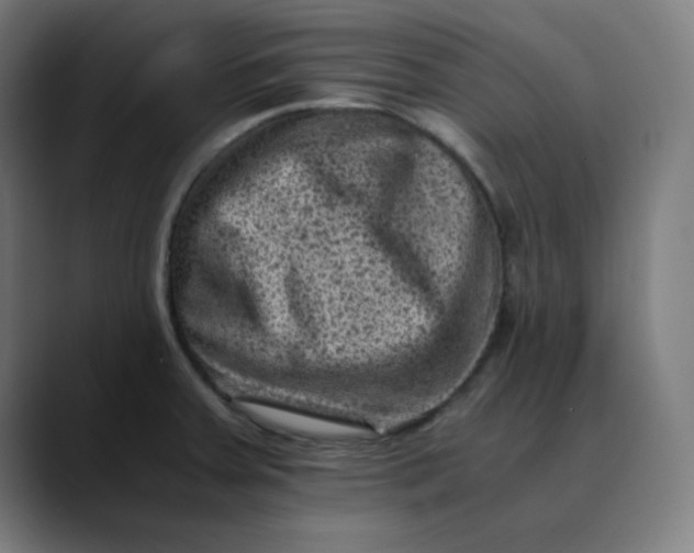 X0000089711379200707121405