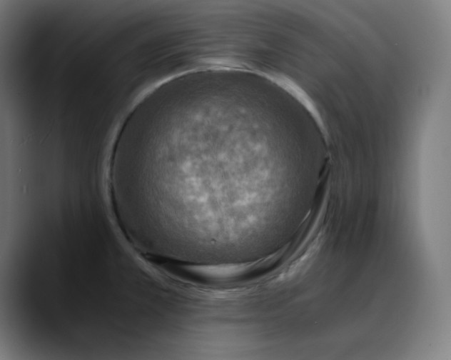 X0000089711381200707121405