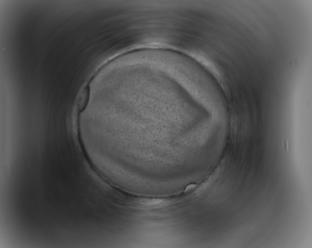 X0000089711382200707121405