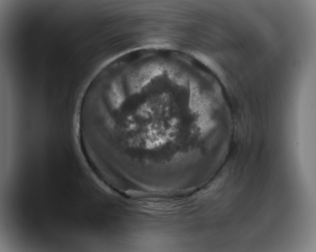 X0000089711383200707121405