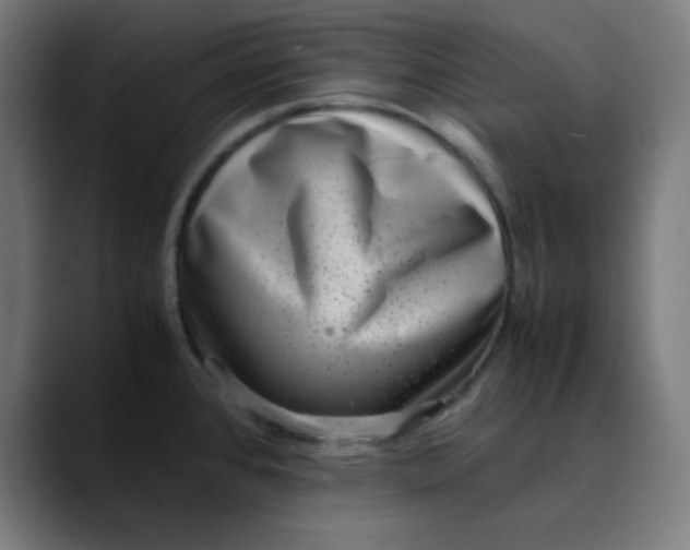 X0000089711384200707121405