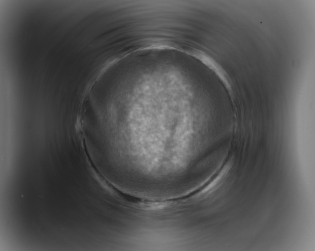 X0000089711385200707121405