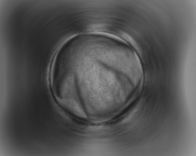 X0000089711386200707121405