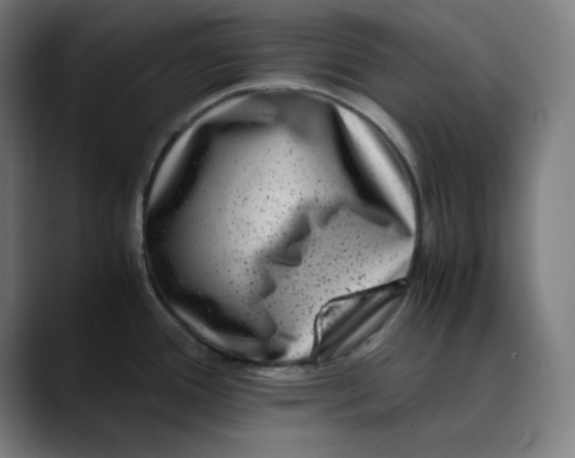 X0000089711388200707121405