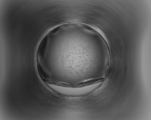 X0000089711389200707121405