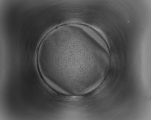 X0000089711390200707121405