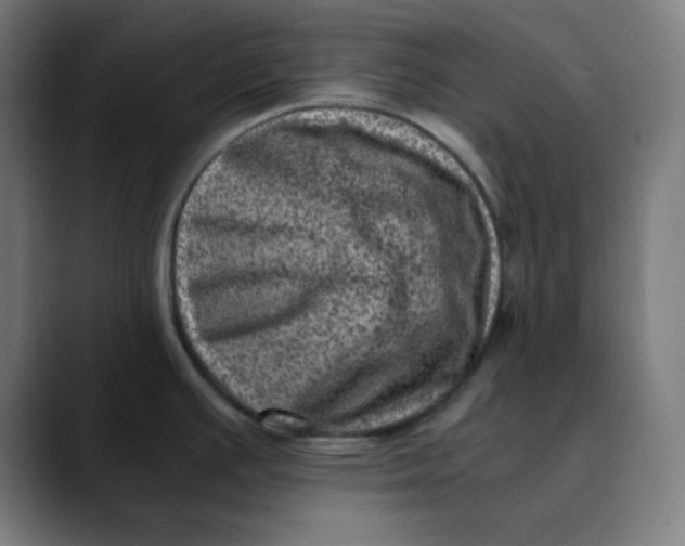 X0000089711391200707121405