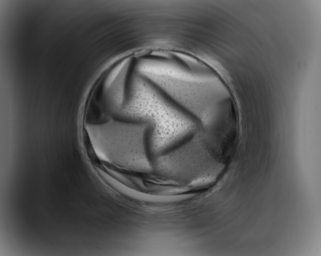 X0000089711392200707121405