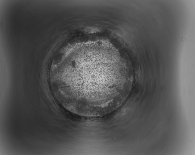 X0000089711393200707121404