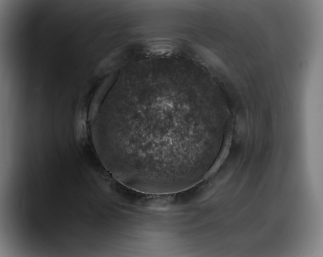 X0000089711394200707121404