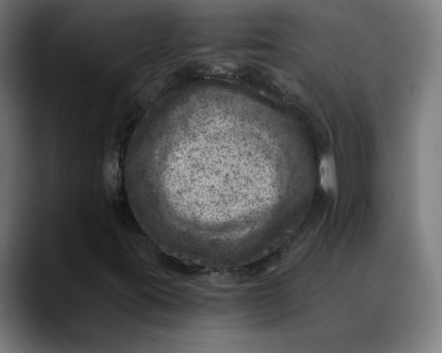 X0000089711395200707121404