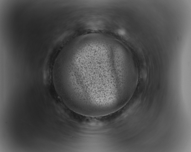 X0000089711398200707121404