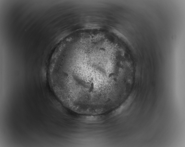 X0000089711401200707121404