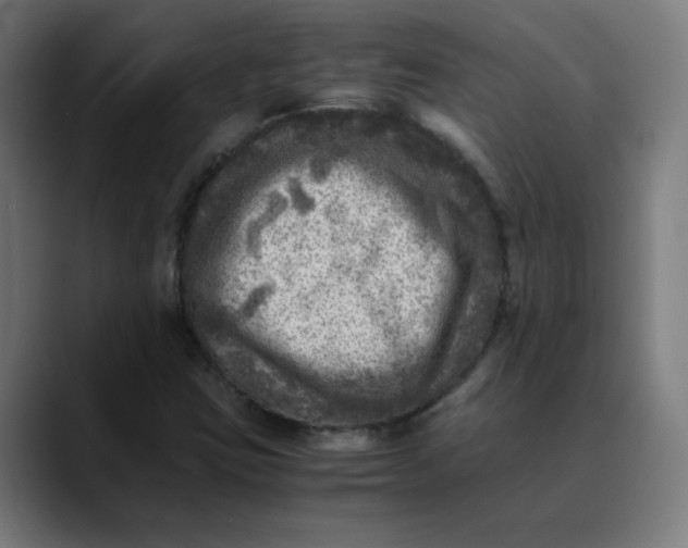 X0000089711403200707121404