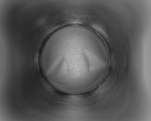 X0000089711404200707121404