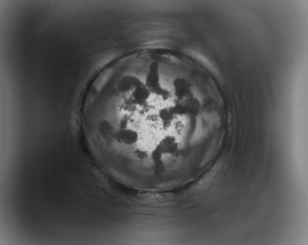 X0000089711405200707121404